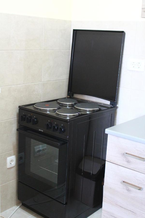 Exceptional Accommodation Čačak المظهر الخارجي الصورة